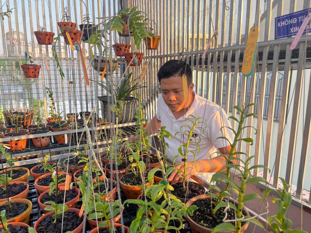 Diệp Minh Tuyền: Đến với hoa lan rất tình cờ nhưng lại là đam mê lớn