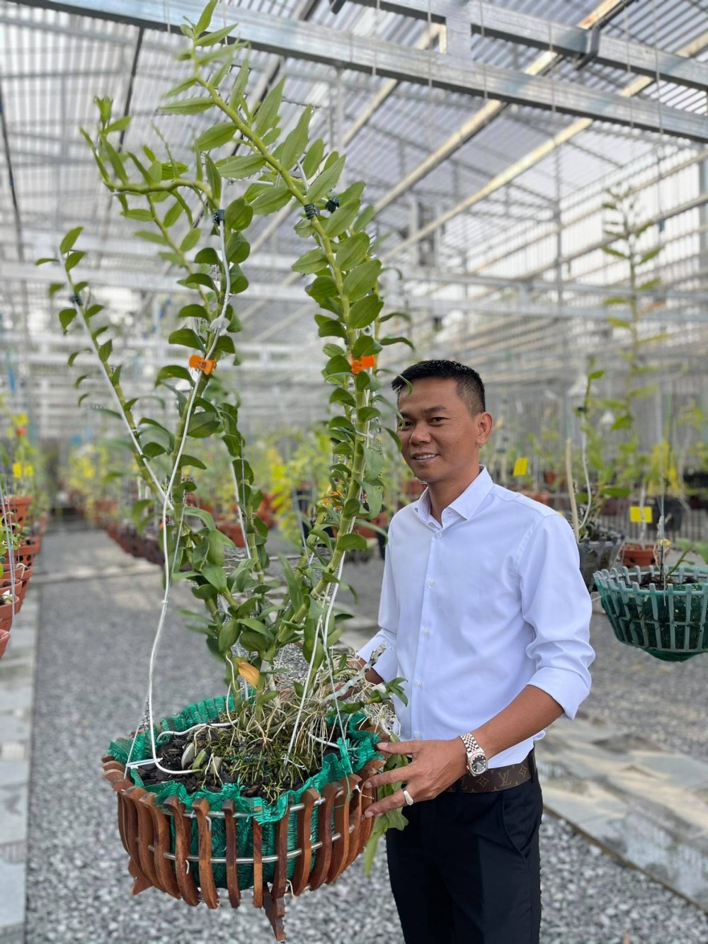 Nghệ nhân Vinh Phạm: Làm và thú vui chơi lan đột biến Nghệ nhân Vinh Phạm: Làm và thú vui chơi lan đột biến