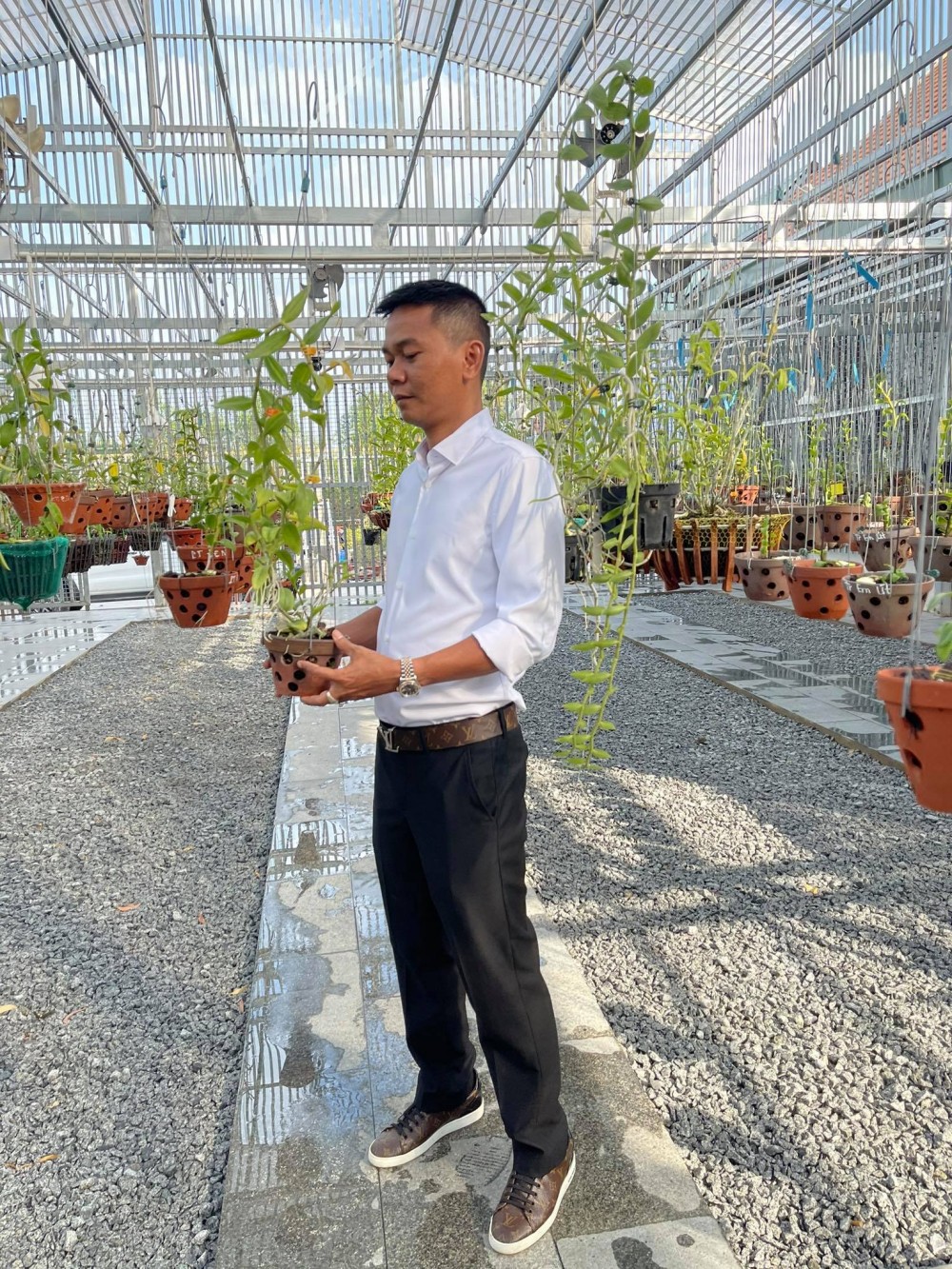 Nghệ nhân Vinh Phạm: Làm và thú vui chơi lan đột biến Nghệ nhân Vinh Phạm: Làm và thú vui chơi lan đột biến