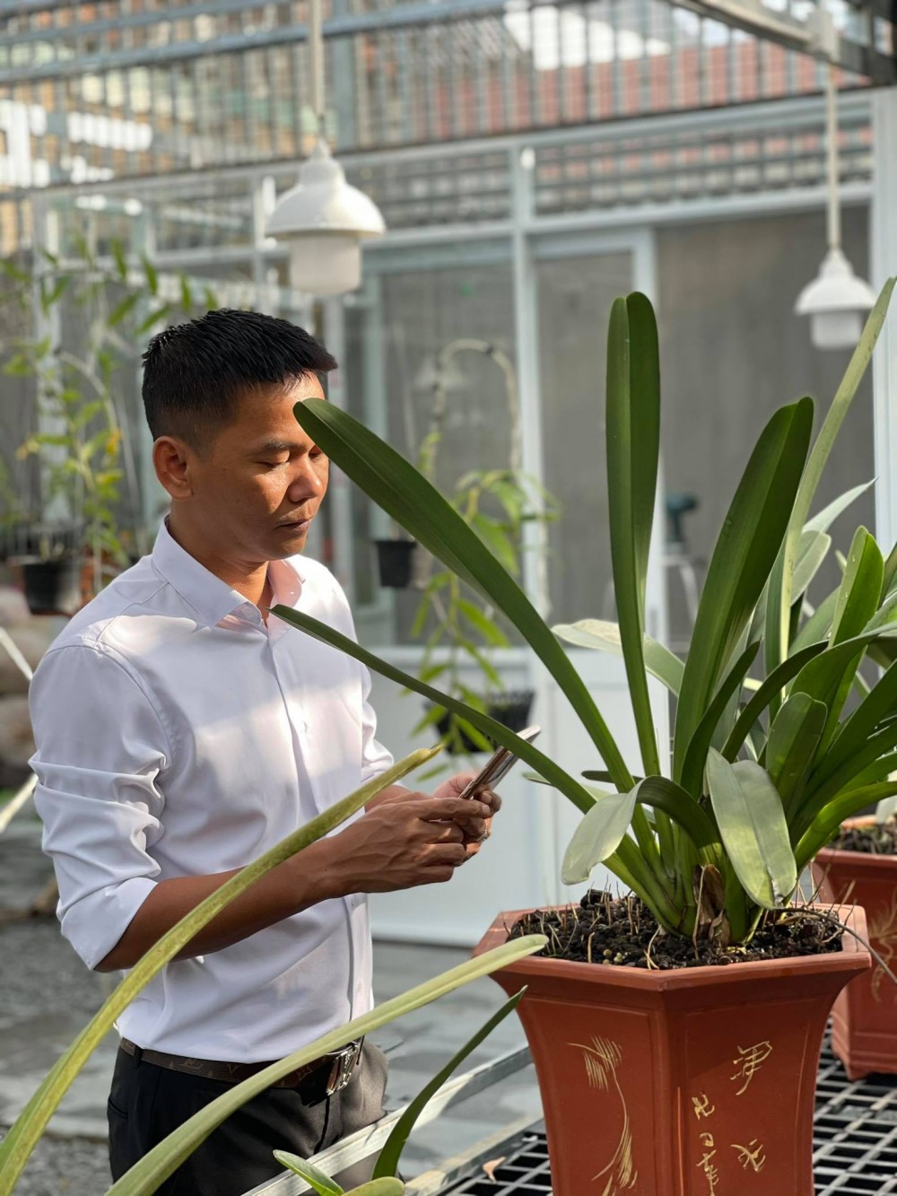 Nghệ nhân Vinh Phạm: Làm và thú vui chơi lan đột biến Nghệ nhân Vinh Phạm: Làm và thú vui chơi lan đột biến