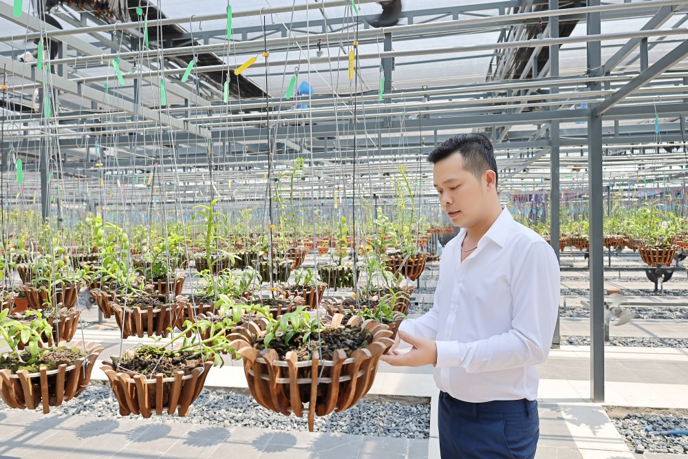 Nghệ nhân Trương Tấn Lợi: Đại gia có tiếng trong lĩnh vực trồng và kinh doanh lan đột biến