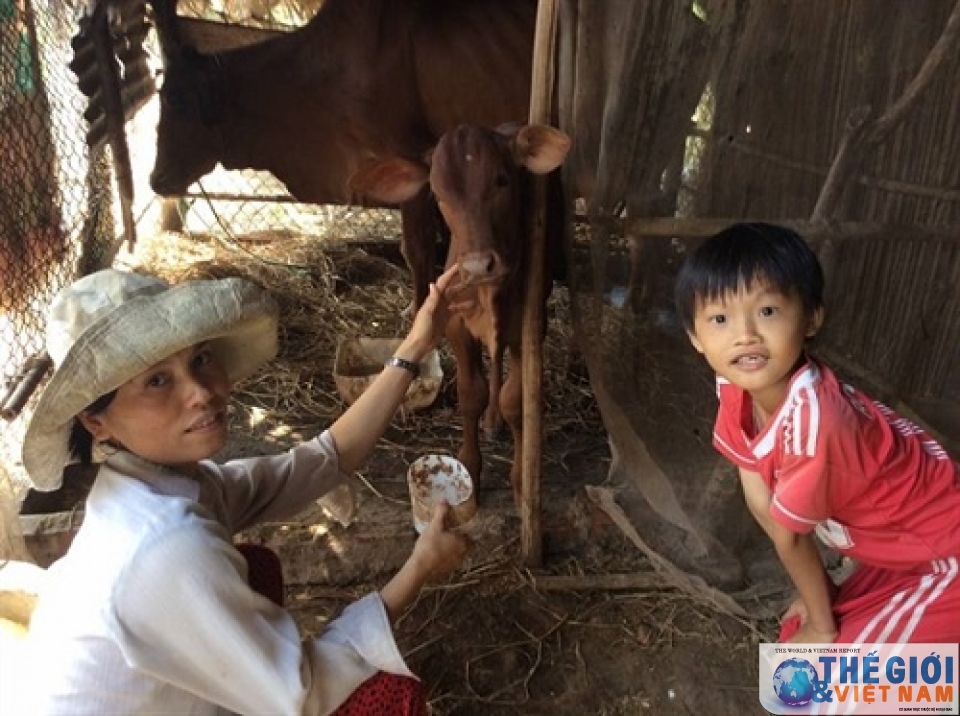 giam doc seed to table toi den viec nam khong chi la trach nhiem ma con la tinh yeu