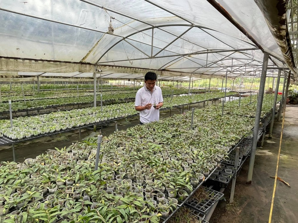 Trương Tuấn Anh: Người lai tạo lan đột biến thành công Trương Tuấn Anh: Người lai tạo lan đột biến thành công