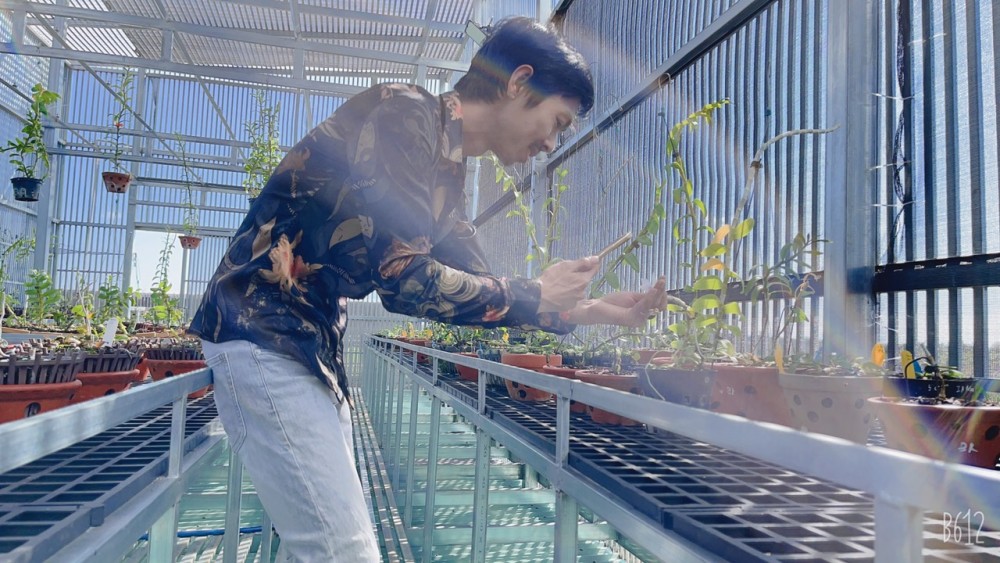 Cường Khuê Các: Ông chủ vườn lan 8X nổi tiếng giữa Tây Nguyên Cường Khuê Các: Ông chủ vườn lan 8X nổi tiếng giữa Tây Nguyên