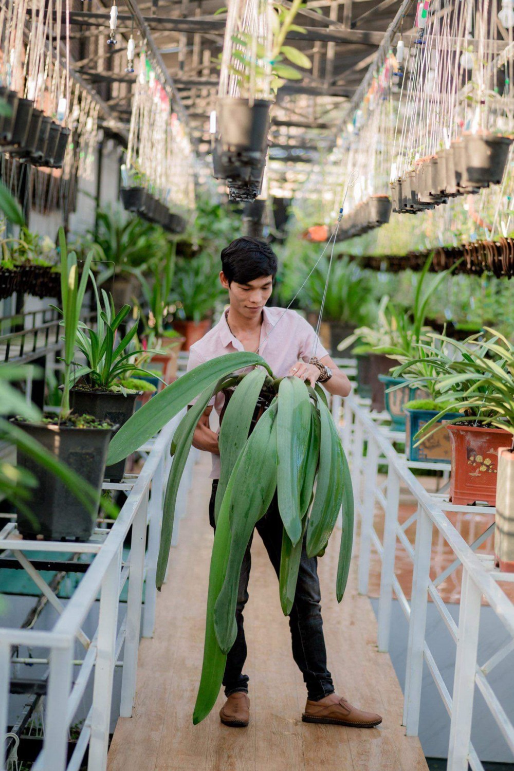 Hạc Hoàng Huy: Chàng trai 9X sở hữu vườn lan khủng