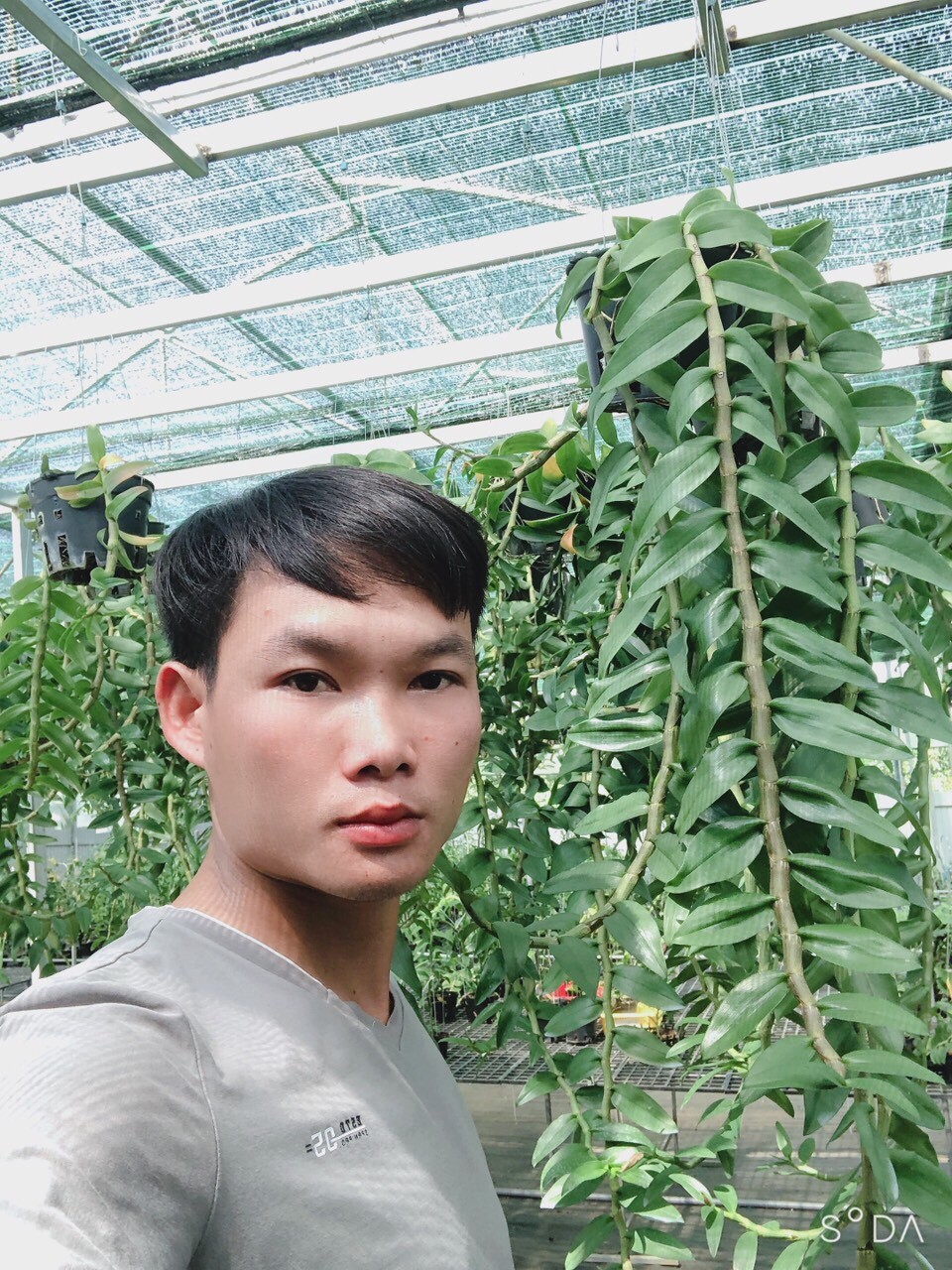 Nguyễn Quốc Trường: Ông chủ Vườn Lan Phương Vy đam mê loài hoa vương giả