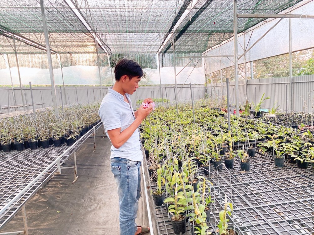 Nguyễn Quốc Trường: Ông chủ Vườn Lan Phương Vy đam mê loài hoa vương giả