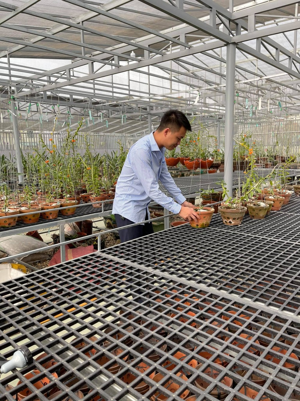 Nguyễn Đức Anh: Ông chủ vườn lan 8X say mê hoa lan đột biến