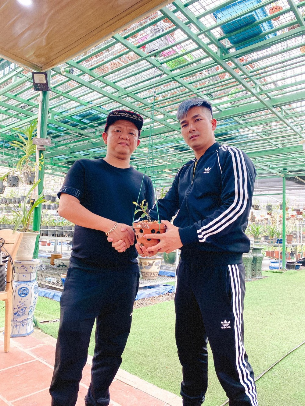 Đức Đại Phát và hành trình về nước chinh phục lan đột biến