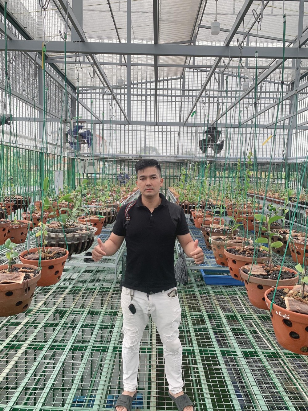 Đức Đại Phát và hành trình về nước chinh phục lan đột biến Đức Đại Phát và hành trình về nước chinh phục lan đột biến