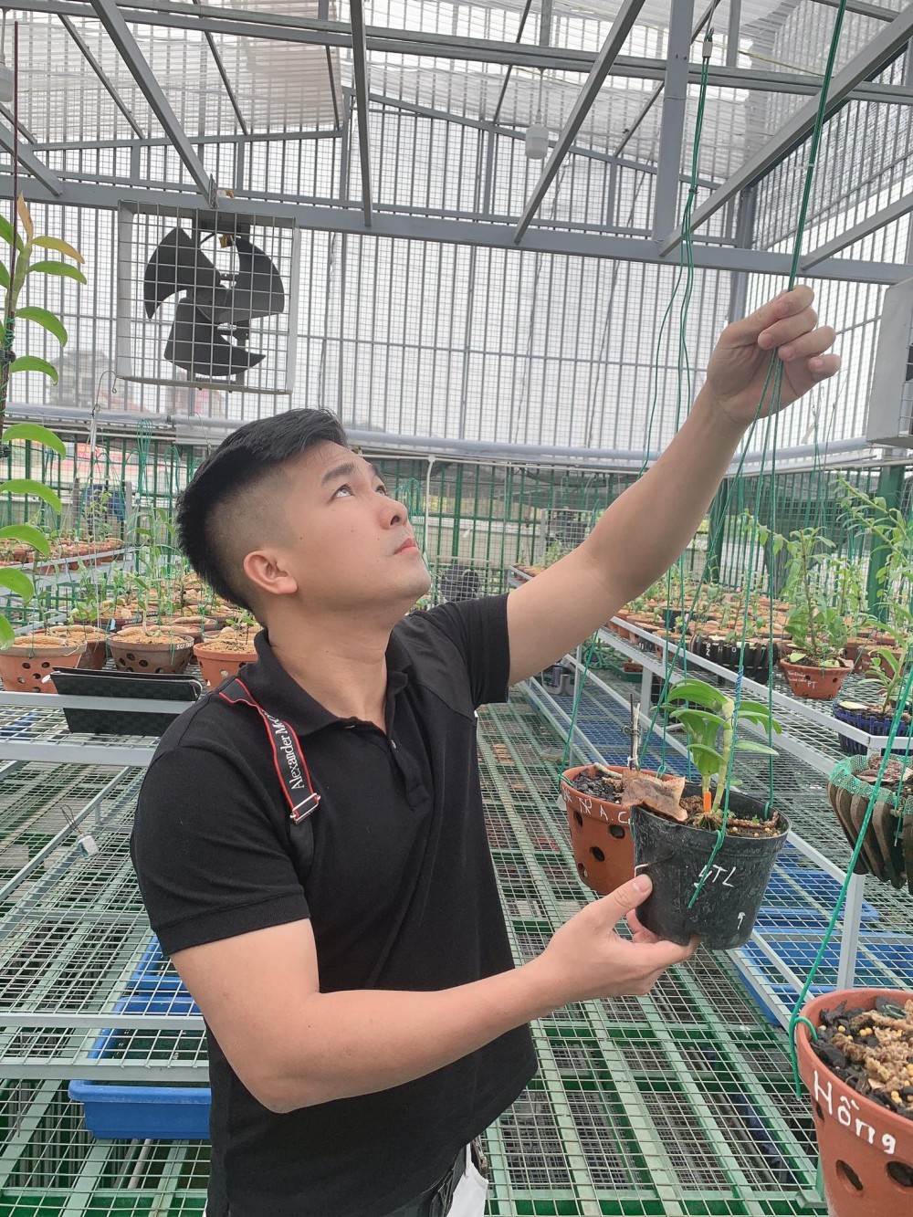 Đức Đại Phát và hành trình về nước chinh phục lan đột biến