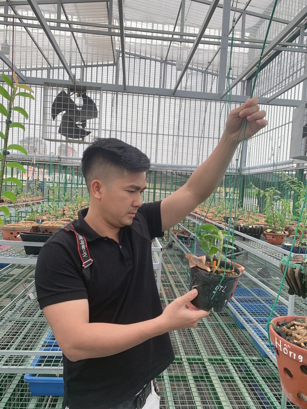 Đức Đại Phát và hành trình về nước chinh phục lan đột biến