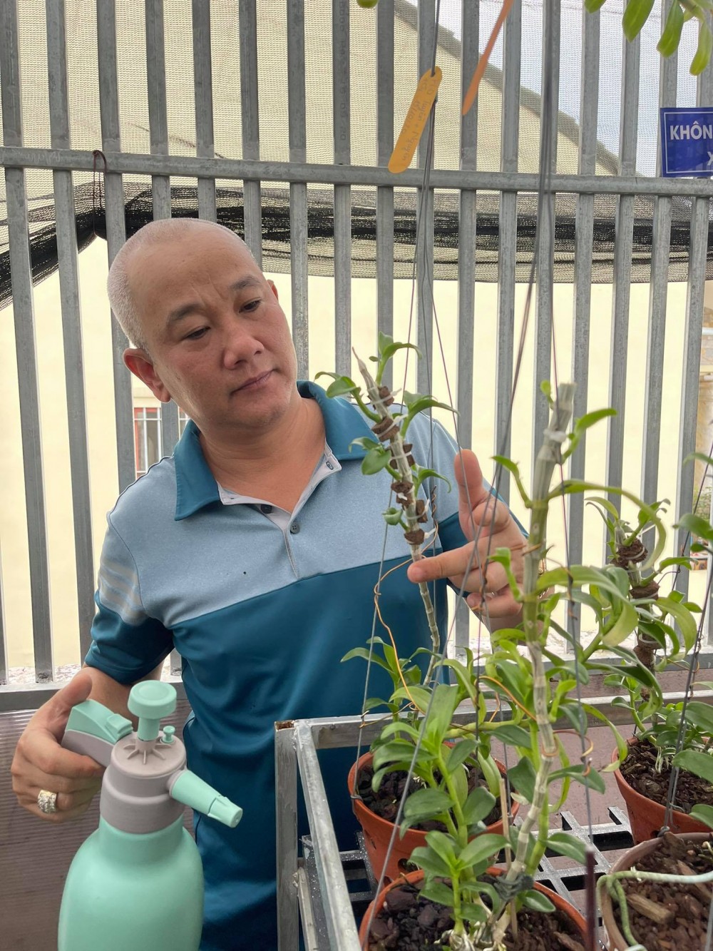 Nghệ nhân Lành Phan thành công nhờ sẵn sàng chia sẻ bí quyết trồng lan Nghệ nhân Lành Phan thành công nhờ sẵn sàng chia sẻ bí quyết trồng lan