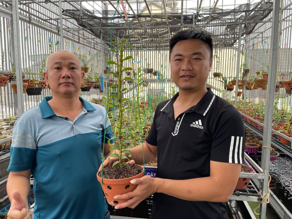 Nghệ nhân Lành Phan thành công nhờ sẵn sàng chia sẻ bí quyết trồng lan Nghệ nhân Lành Phan thành công nhờ sẵn sàng chia sẻ bí quyết trồng lan