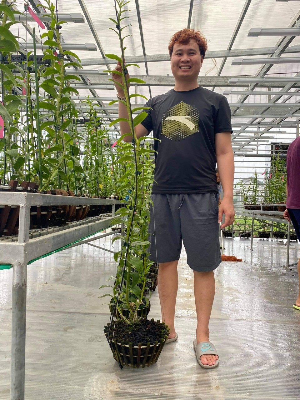 thời gian đầu vì chưa có kinh nghiệm trồng lan nên Trần Vinh cũng gặp phải nhiều khó khăn và thất bại.