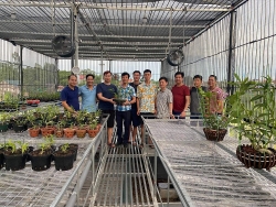Ông chủ vườn lan 9X Trần Vinh và niềm đam mê với hoa phong lan