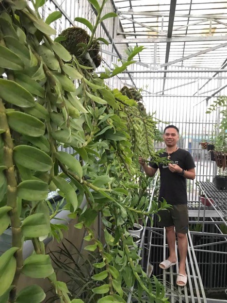 Anh Hoàng Văn Cánh với vườn lan Cánh Hoàng của mình tại Lâm Đồng.