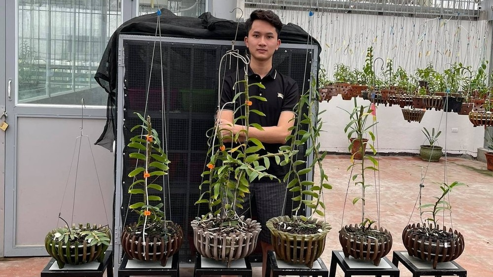 Nghệ nhân Lê Thế Anh: Chia sẻ đam mê với loài hoa vương giả