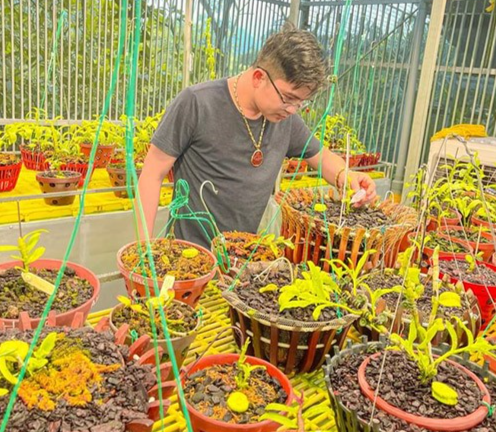 Ông chủ 8x Tùng Dương chia sẻ bí quyết trồng lan thành công Ông chủ 8x Tùng Dương chia sẻ bí quyết trồng lan thành công
