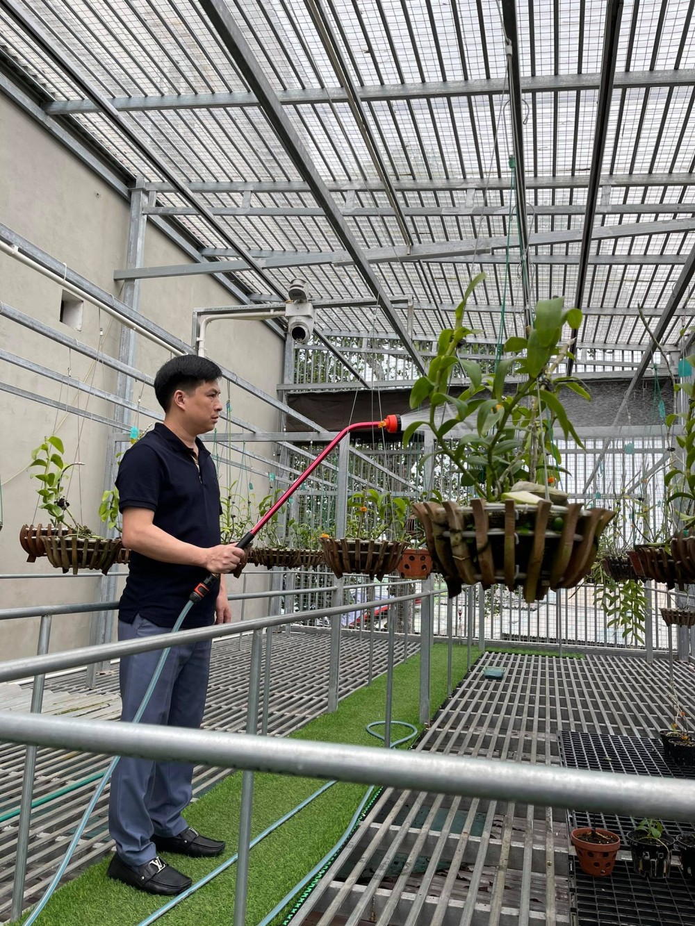 Ninh Nguyễn chia sẻ bí quyết và tình yêu hoa lan