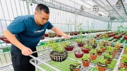 Ông chủ vườn lan Huỳnh Long và cái duyên với loài hoa vương giả