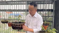 Ông chủ vườn lan Mạnh Quỳnh và bí quyết trồng lan