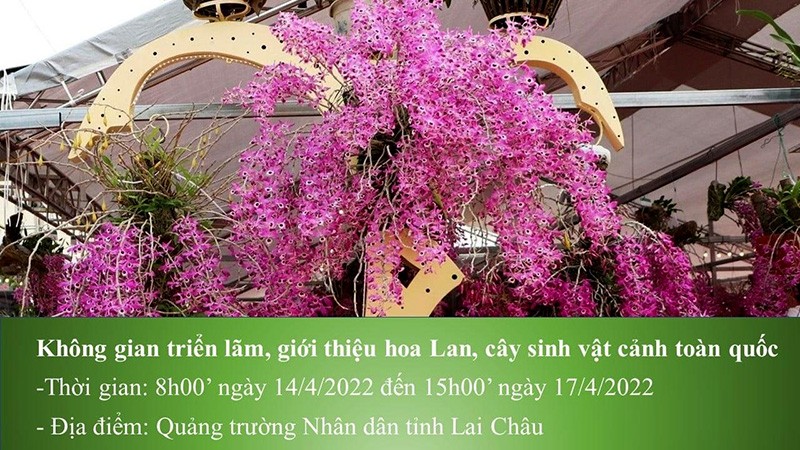 Tuần Du lịch – Văn hoá Lai Châu năm 2022: Nhiều hoạt động đặc sắc và phong phú