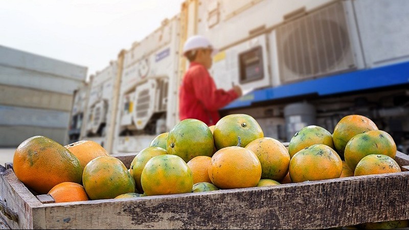 dong nam a tung buoc tro thanh ngoi sao trong mang luoi cung ung