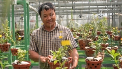 Trương Việt Dũng: Từ CEO xây dựng đến người đam mê trồng lan