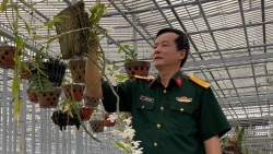 Nghệ nhân Đồng Chiến chia sẻ bí quyết chăm sóc cây lan trước và trong quá trình trổ hoa
