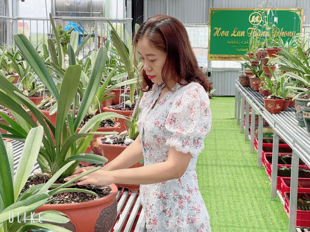 Cô chủ vườn lan Thùy Linh chia sẻ bí quyết thành công