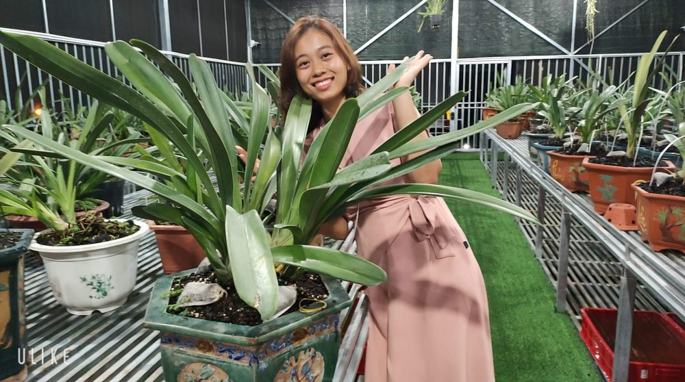 Từ vài giò lan đầu tiên, chị đã cảm nhận được vẻ đẹp thanh khiết của hoa lan và những dẫn dắt chị “lún sâu” vào con đường này từ đó cứ mở ra. 