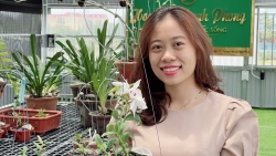Cô chủ vườn lan Thùy Linh chia sẻ bí quyết thành công