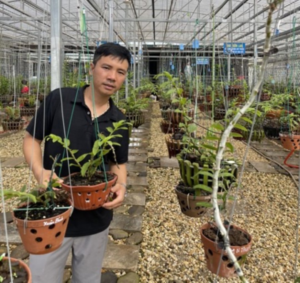 Nghệ nhân Trương Phương Thuần: Đam mê cùng loài hoa vương giả Nghệ nhân Trương Phương Thuần: Đam mê cùng loài hoa vương giả