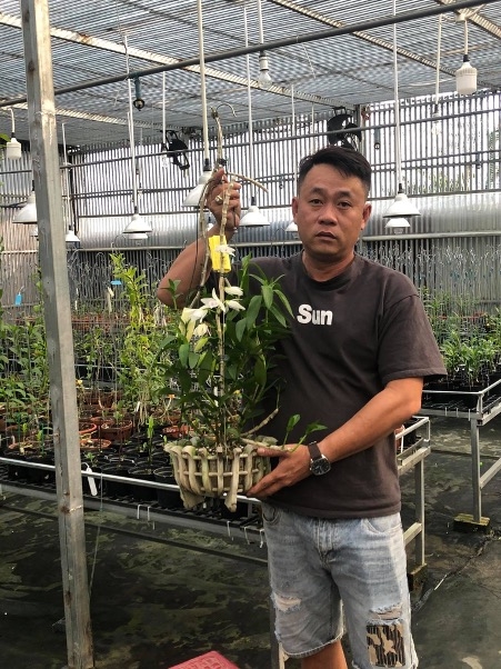 Bí quyết chăm sóc hoa của nghệ nhân đến từ xứ lan Bảo Lộc Đinh Văn Học
