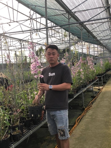 Bí quyết chăm sóc hoa của nghệ nhân đến từ xứ lan Bảo Lộc Đinh Văn Học