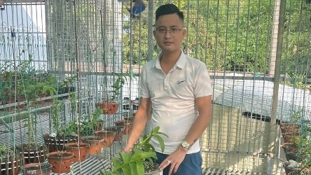 Nghệ nhân Nguyễn Ngọc Duy và hành trình gây dựng vườn lan cho riêng mình