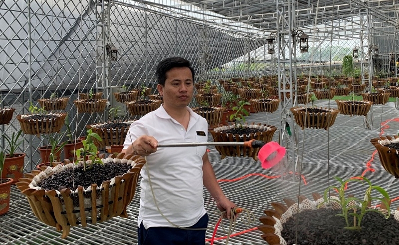 Anh Tuấn dành nhiều tâm huyết cho vườn lan trị giá trăm tỉ.