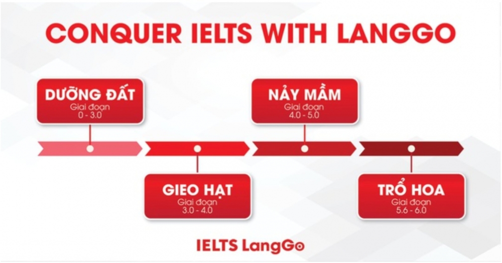 Giảng viên Diệu Hoa LangGo chia sẻ về lộ trình luyện thi IELTS cấp tốc