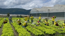 Đại đức Thích Trí Định: Thiện nguyện bằng cả tấm lòng