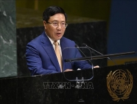 viet nam keu goi tang cuong suc song cua chu nghia da phuong vi hoa binh va phat trien ben vung