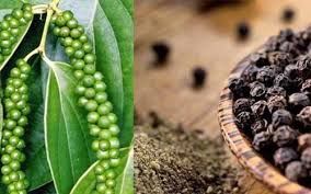 gia ho tieu hom nay 129 gia tieu the gioi tang manh