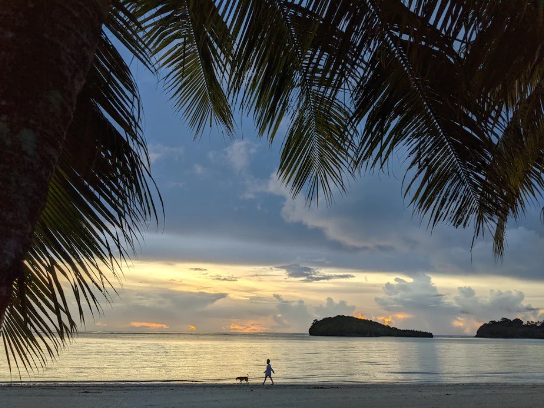Một phụ nữ dắt chó đi dạo trên bãi biển ở Tamuning, nơi ngày càng có nhiều doanh nghiệp mở cửa trở lại do hoạt động tiêm chủng và du lịch vắc xin của Guam. (The Washington Post).