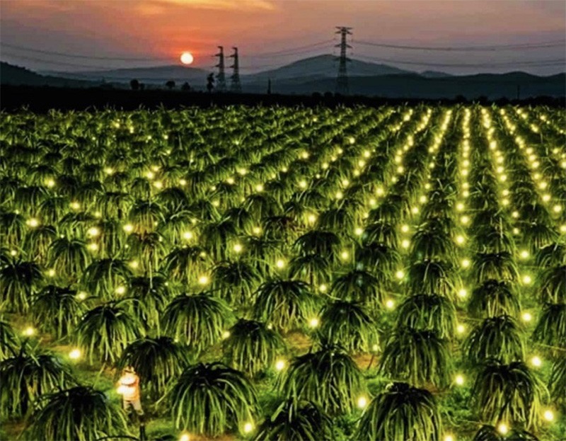 Chủ tịch Hội Nông dân Lương Quốc Đoàn: Khơi dậy sức sáng tạo của nông dân Việt Nam, đưa nông nghiệp, nông dân, nông thôn vươn mình trong kỷ nguyên mới