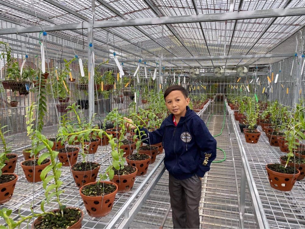 Mạnh Đinh: Chàng trai 8X nuôi dưỡng ước mơ làm giàu từ hoa phong lan Mạnh Đinh: Chàng trai 8X nuôi dưỡng ước mơ làm giàu từ hoa phong lan