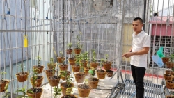 Doanh nhân Hoangnam Jsc: Thỏa niềm đam mê với chăm sóc hoa lan