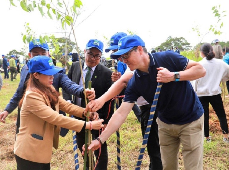 Nỗ lực chung tay trồng cây góp phần phủ xanh Việt Nam (Ảnh: NVL Group).