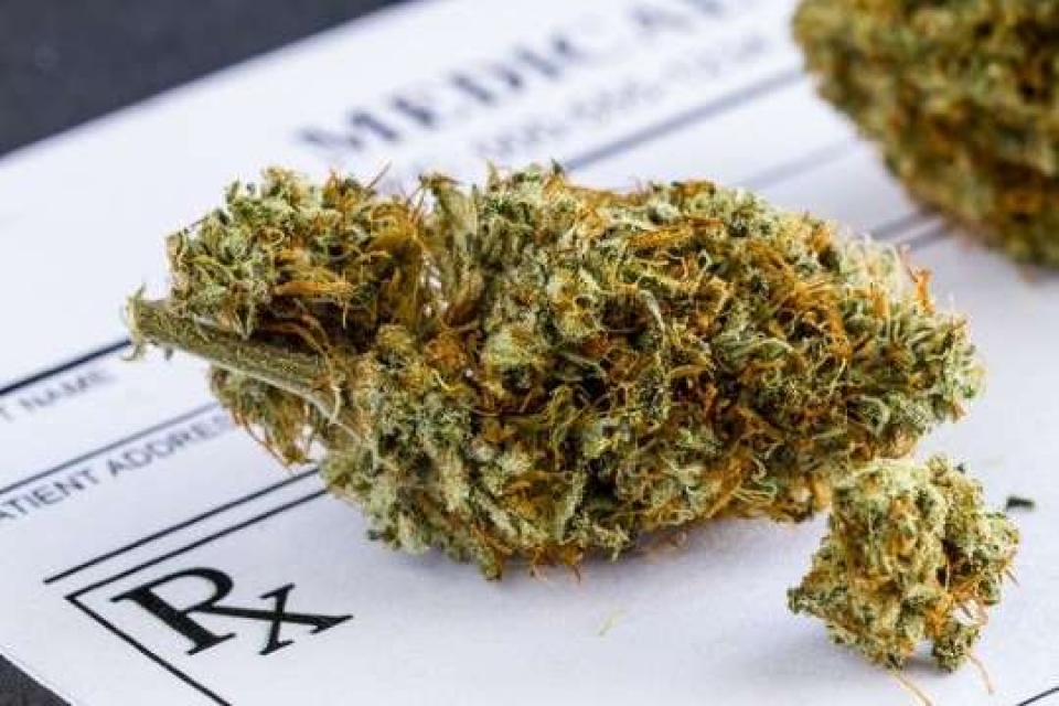 canh sat argentina va brazil thu giu luong lon can sa