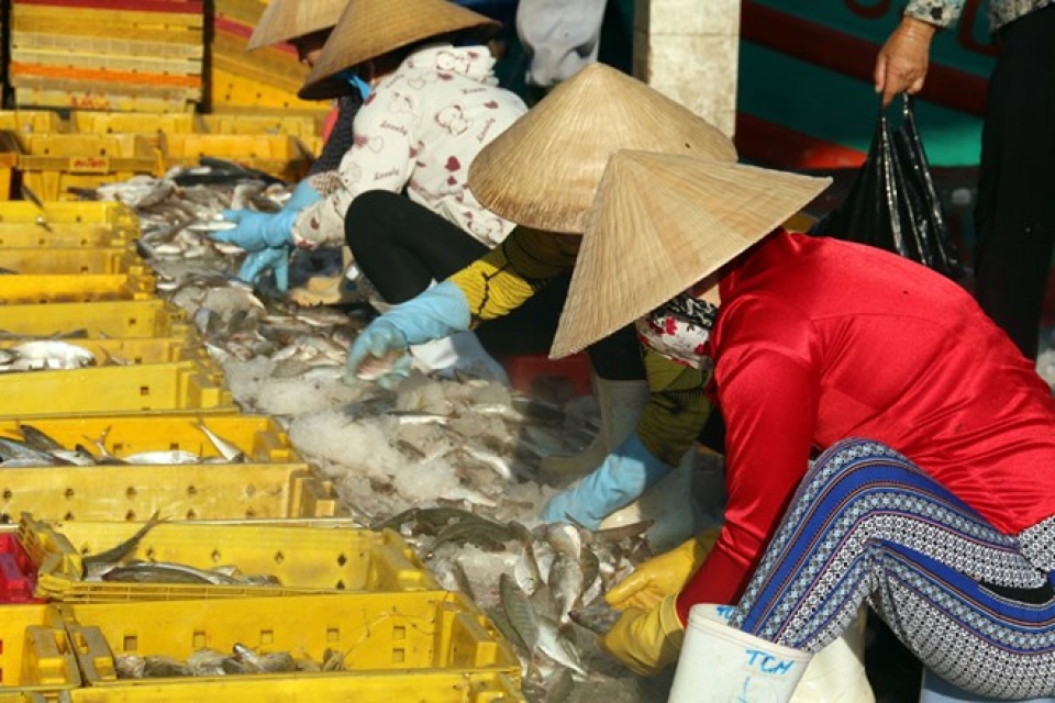 110 doanh nghiep vua va nho viet nam tim co hoi o singapore