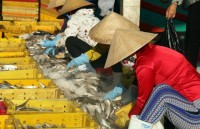 tin nhap 20170323190727